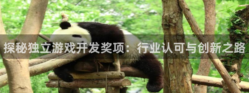探秘独立游戏开发奖项：行业认可与创新之路