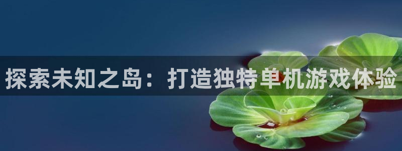 沐鸣娱乐平台怎么样可靠吗：探索未知之岛：