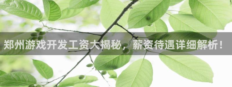 沐鸣科技有限公司地址：郑州游戏开发工资大