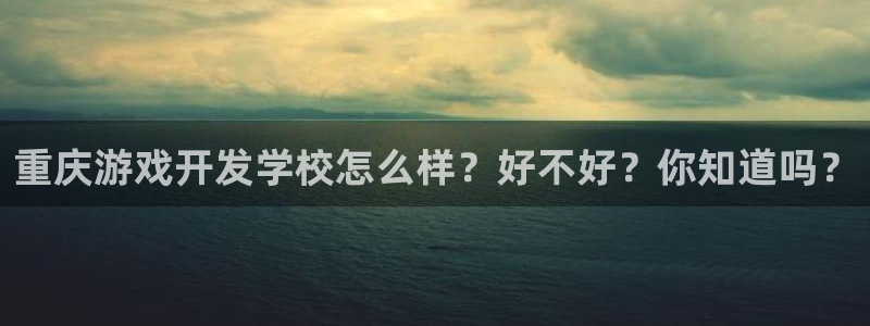 沐鸣网址官网：重庆游戏开发学校怎么样？好