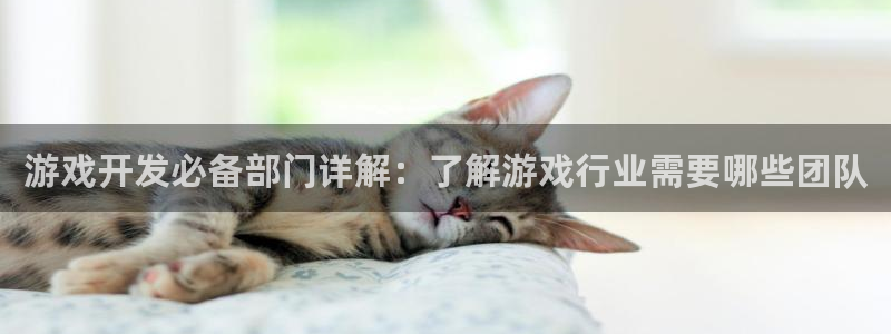 沐鸣娱乐注册平台有哪些：游戏开发必备部门