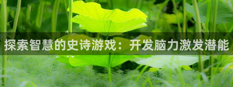 沐鸣平台招商怎么样：探索智慧的史诗游戏：