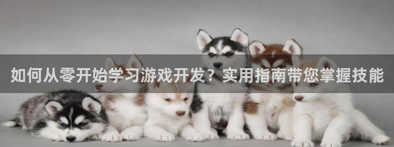 沐鸣科技有哪些产品：如何从零开始学习游戏
