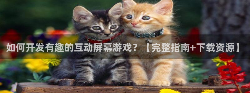 沐鸣科技有哪些产品可以买：如何开发有趣的