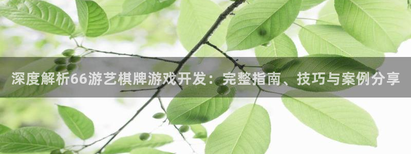 沐鸣官网注册：深度解析66游艺棋牌游戏开