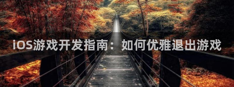 沐鸣平台注册登陆：iOS游戏开发指南：如