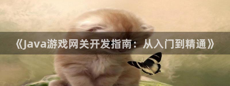 沐鸣娱乐注册网站：《Java游戏网关开发