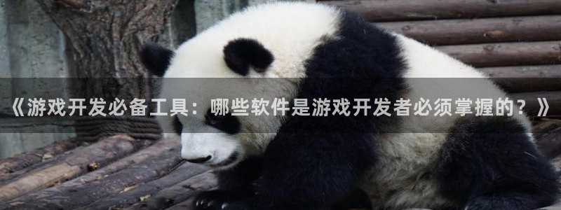 沐鸣官方注册登录：《游戏开发必备工具：哪
