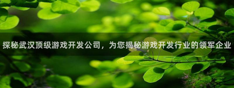 沐鸣平台登录：探秘武汉顶级游戏开发公司，