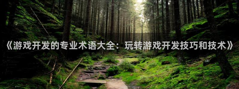 沐鸣平台代理注册：《游戏开发的专业术语大