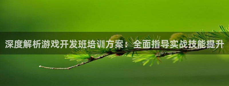 沐鸣注册注册：深度解析游戏开发班培训方案