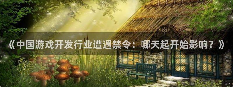 沐鸣注册网站：《中国游戏开发行业遭遇禁令