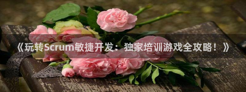 沐鸣科技怎么样知乎推荐：《玩转Scrum