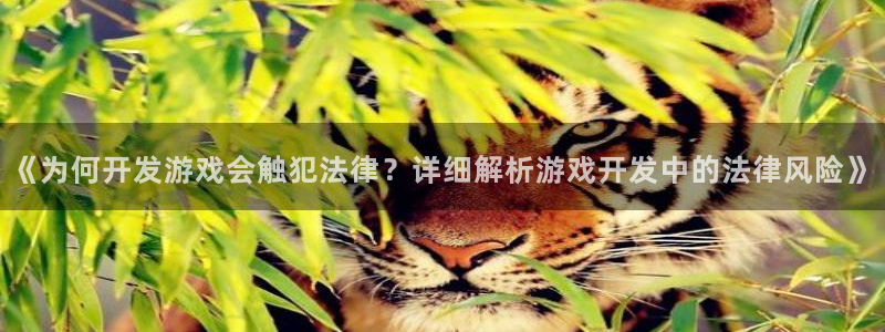 沐鸣娱乐游戏：《为何开发游戏会触犯法律？