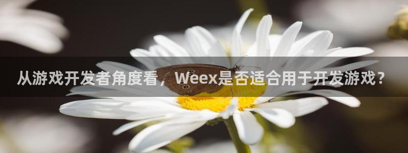 沐鸣平台：从游戏开发者角度看，Weex是