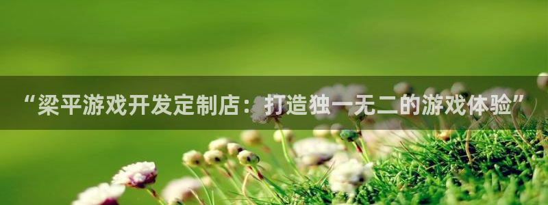 沐鸣科技有哪些产品：“梁平游戏开发定制店