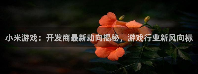 沐鸣娱乐怎么注册：小米游戏：开发商最新动