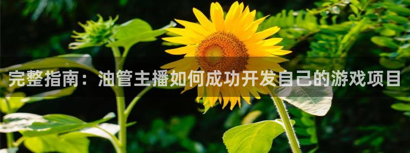 沐鸣科技做的游戏：完整指南：油管主播如何
