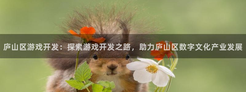 沐鸣是什么：庐山区游戏开发：探索游戏开发