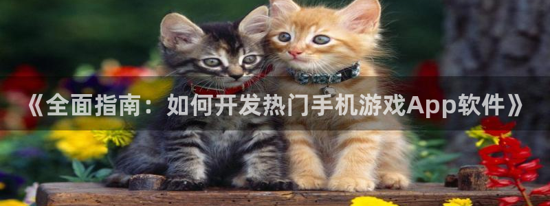 沐鸣科技有限公司怎么样：《全面指南：如何