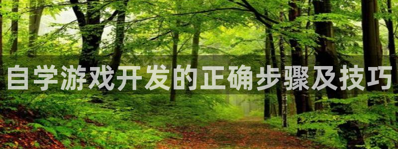 沐鸣账号注册：自学游戏开发的正确步骤及技