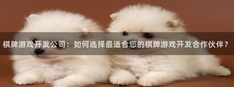 沐鸣娱乐官方网站入口：棋牌游戏开发公司：