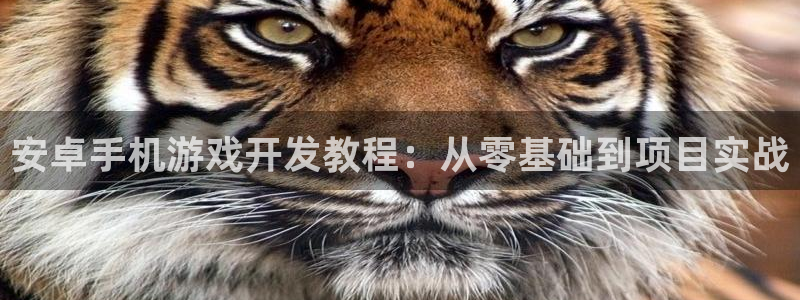 沐鸣娱乐官方平台怎么样：安卓手机游戏开发