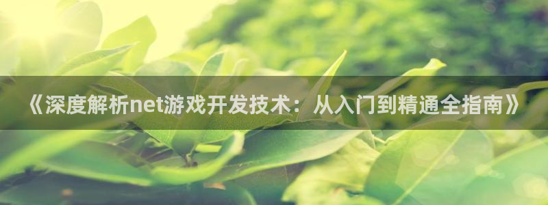 沐鸣娱乐二：《深度解析net游戏开发技术