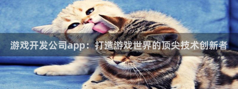 沐鸣平台负责人是谁：游戏开发公司app：