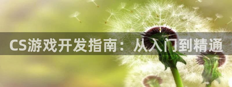 沐鸣1平台：CS游戏开发指南：从入门到精