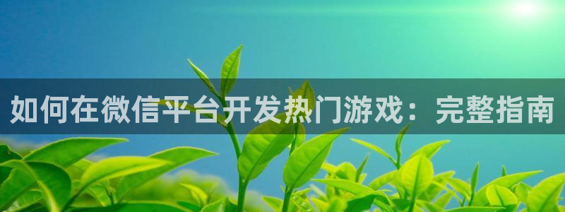 沐鸣登录网址：如何在微信平台开发热门游戏