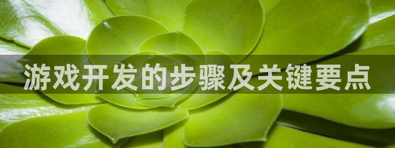 沐鸣平台注册：游戏开发的步骤及关键要点