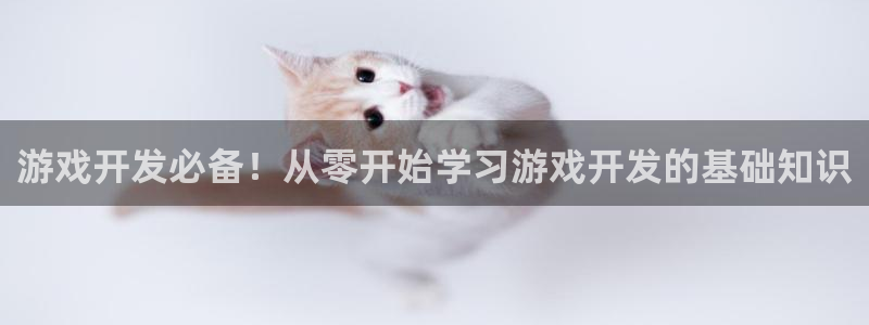 沐鸣娱乐官方平台怎么样：游戏开发必备！从