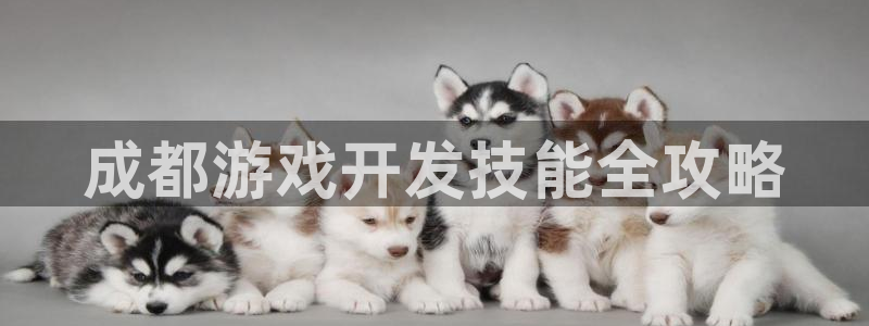 沐鸣平台app下载：成都游戏开发技能全攻