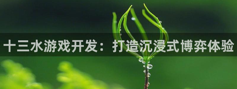沐鸣娱乐官方网站首页：十三水游戏开发：打