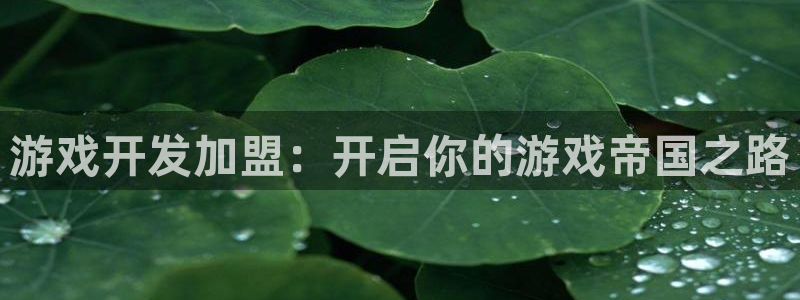 沐鸣平台负责人