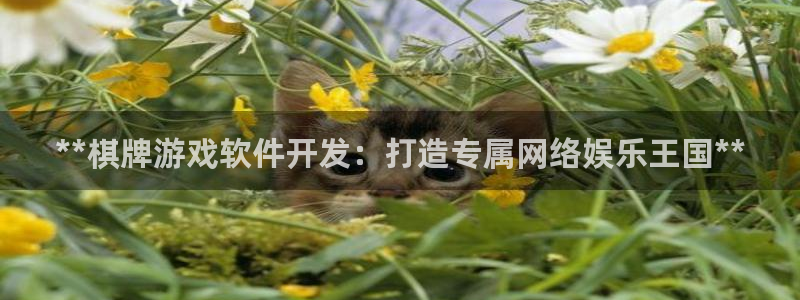 沐鸣开户计划