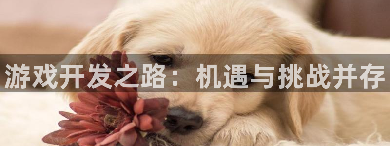 沐鸣在线登录官网