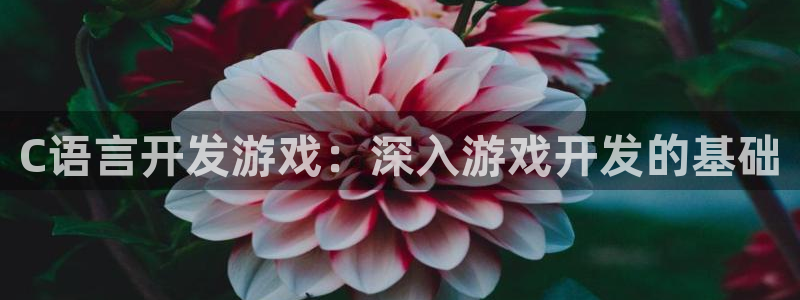 沐鸣娱乐app