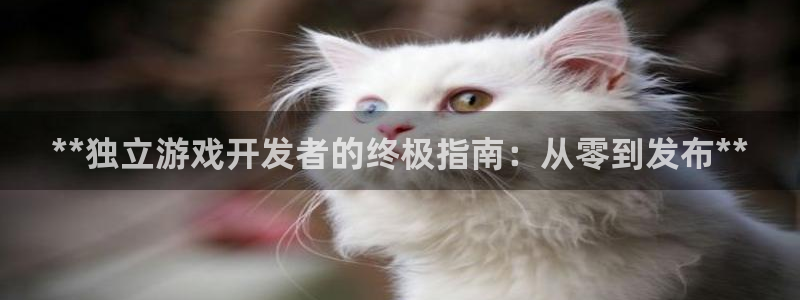 沐鸣科技有哪些产品卖