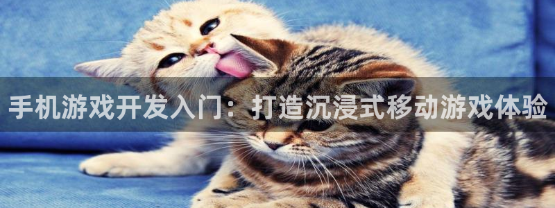 沐鸣平台负责人：手机游戏开发入门：打造沉