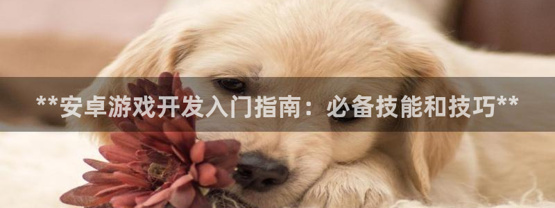 沐鸣登陆地址