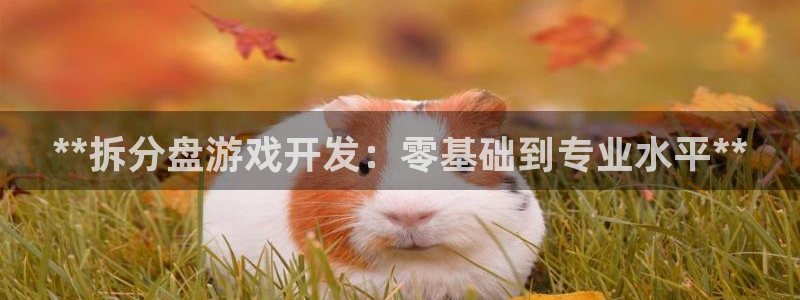 沐鸣娱乐怎么赚钱：**拆分盘游戏开发：零