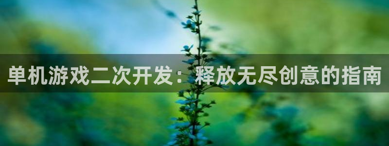 沐鸣娱乐ⅱ：单机游戏二次开发：释放无尽创