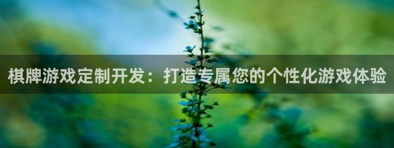 沐鸣娱乐平台登录入口：棋牌游戏定制开发：