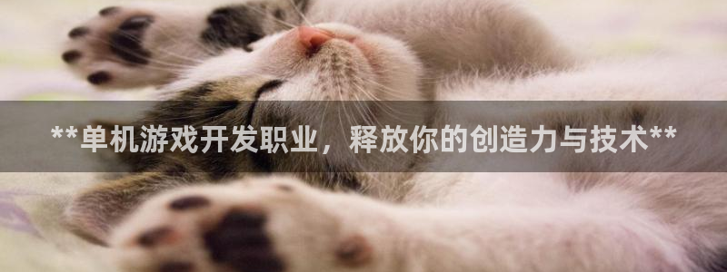 沐鸣科技是属于谁的子公司：**单机游戏开