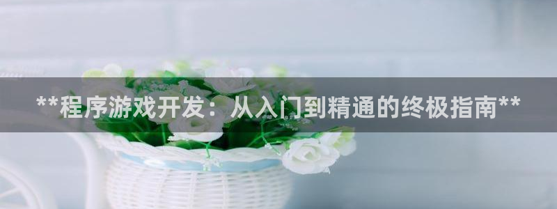 沐鸣平台招商怎么样：**程序游戏开发：从