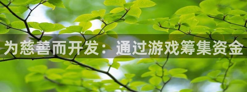 沐鸣娱乐官网入口：为慈善而开发：通过游戏