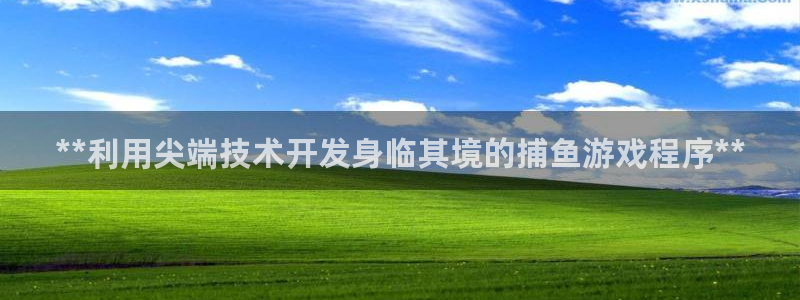 沐鸣科技业务：**利用尖端技术开发身临其