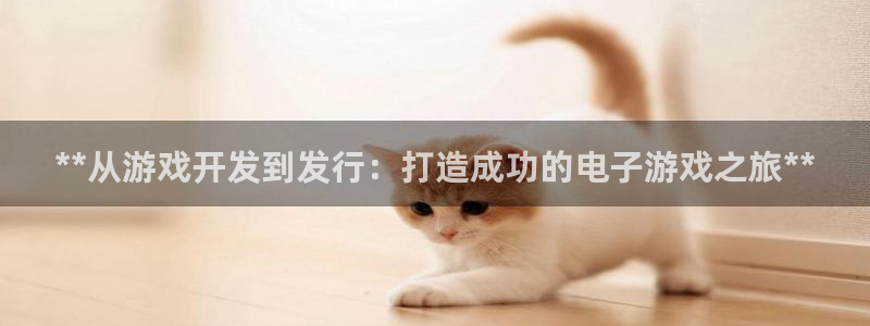 沐鸣官网登录：**从游戏开发到发行：打造